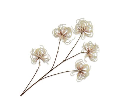 Zijdetak ”Clematis”